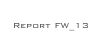 
Report FW_13