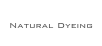 
Natural Dyeing